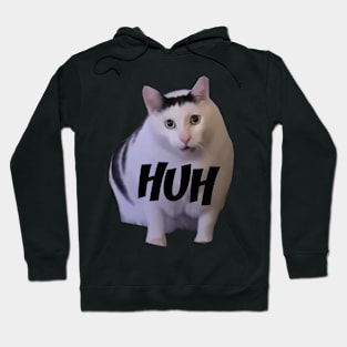 Huh Cat Meme Hoodie